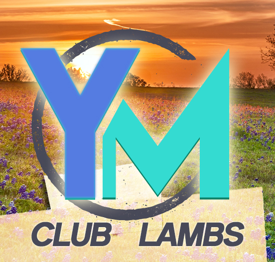 millerclub,marcusmiller purchased from ellebrock club lambs at sedalia miller o
